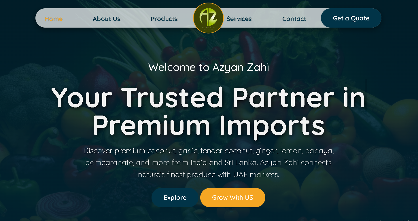 Creating a Product-Focused Digital Presence for Azyan Zahi